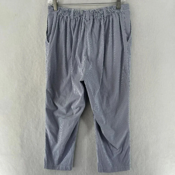 Lands' End Pants Women's Sz 10 Blue White Striped High-Rise Straight Leg Stretch - Picture 2 of 11